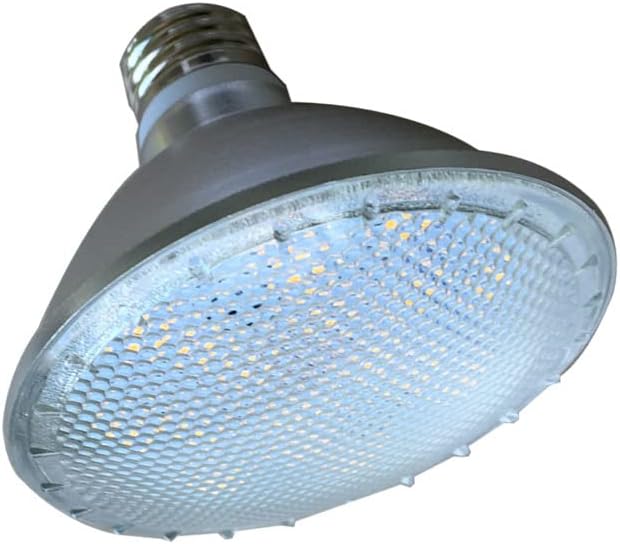 AGIPS Лампи широк напрежение 10 бр./лот led прожектор PAR30 E27 12 W 24 5630smd Външна номинална лампа Водоустойчива IP65 led прожектор Битови лампи (Размер: OneColor)