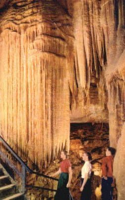 Национален парк Мамонтовая Пещера, Кентъки Картичка